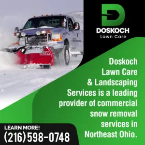 Doskoch Commercial Snow Removal services infographic