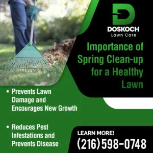 Importance of Spring clean-up for a healthy lawn infographic