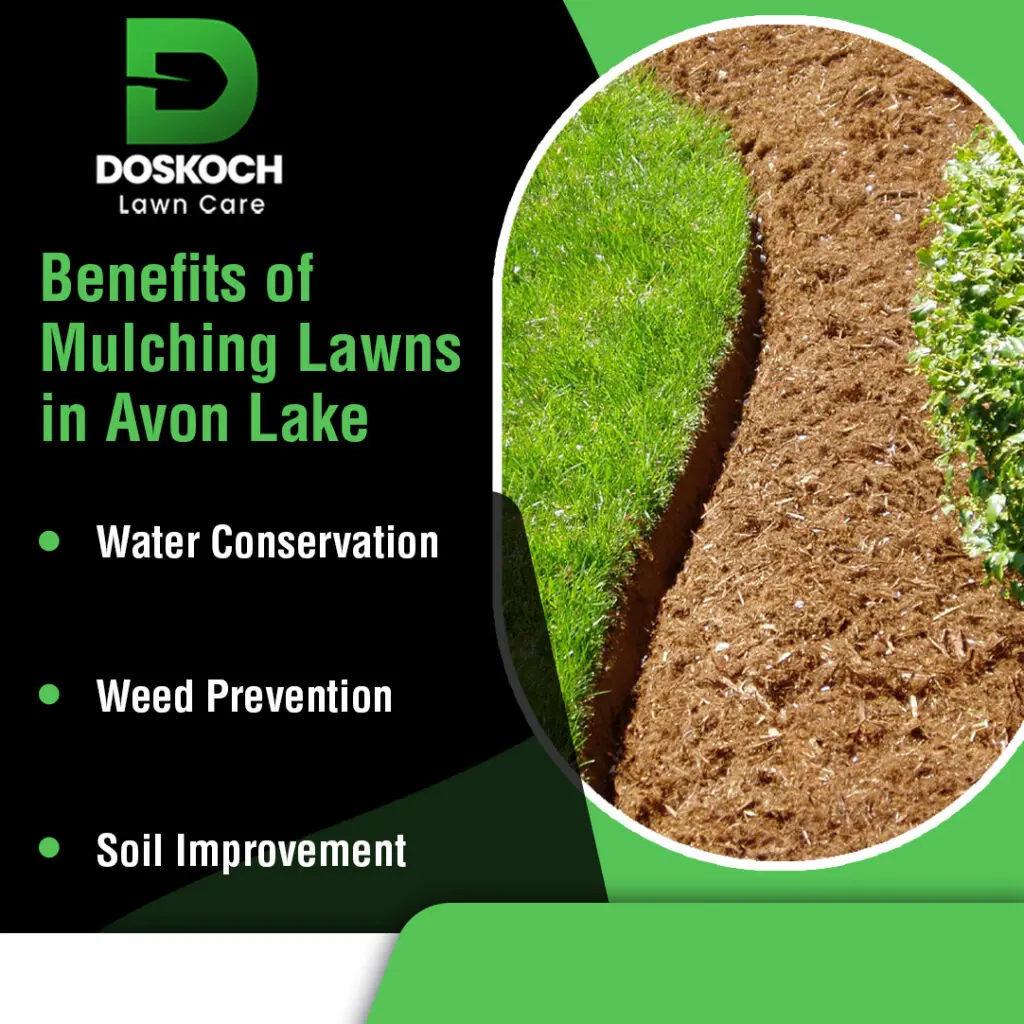 benefits of mulching