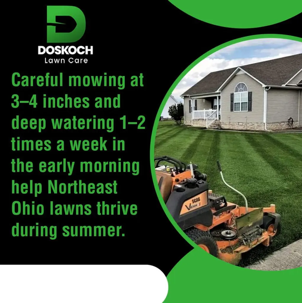 An advertisement for Doskoch Lawn Care with a close-up view of a riding lawnmower creating clean stripes on a manicured lawn.