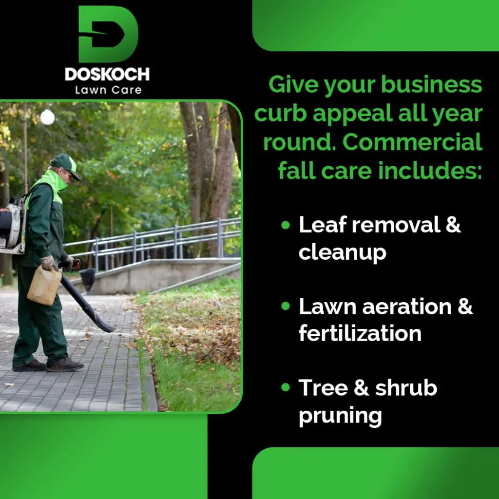 An advertisement for Doskoch Lawn Care showing a landscaper using a leaf blower to clear leaves from a paved path. The text lists commercial fall care services: leaf removal, lawn aeration, fertilization, and tree/shrub pruning.