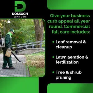An advertisement for Doskoch Lawn Care showing a landscaper using a leaf blower to clear leaves from a paved path. The text lists commercial fall care services: leaf removal, lawn aeration, fertilization, and tree/shrub pruning.
