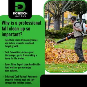 A person wearing ear protection using a leaf blower to clear a yard of autumn leaves, with trees in fall foliage in the background. Text explains why professional fall clean-up is important for healthier grass, pest prevention, saving time, and enhanced curb appeal. The Doskoch Lawn Care logo is at the top.