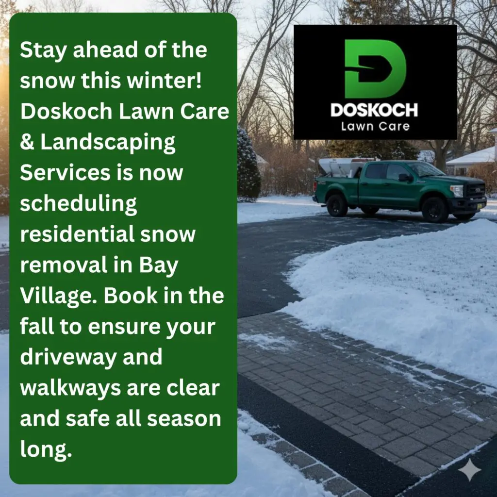 A green pickup truck with a snow plow on a partially cleared snowy driveway.