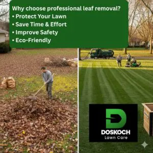 A split image showing a man raking a large pile of leaves on the left, and a professional landscaping crew with equipment clearing a beautifully striped green lawn on the right.