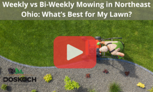 Top view of man mowing with red play buttom overlay with words: Weekly vs Bi-Weekly Mowing in Northeast Ohio: What’s Best for My Lawn?