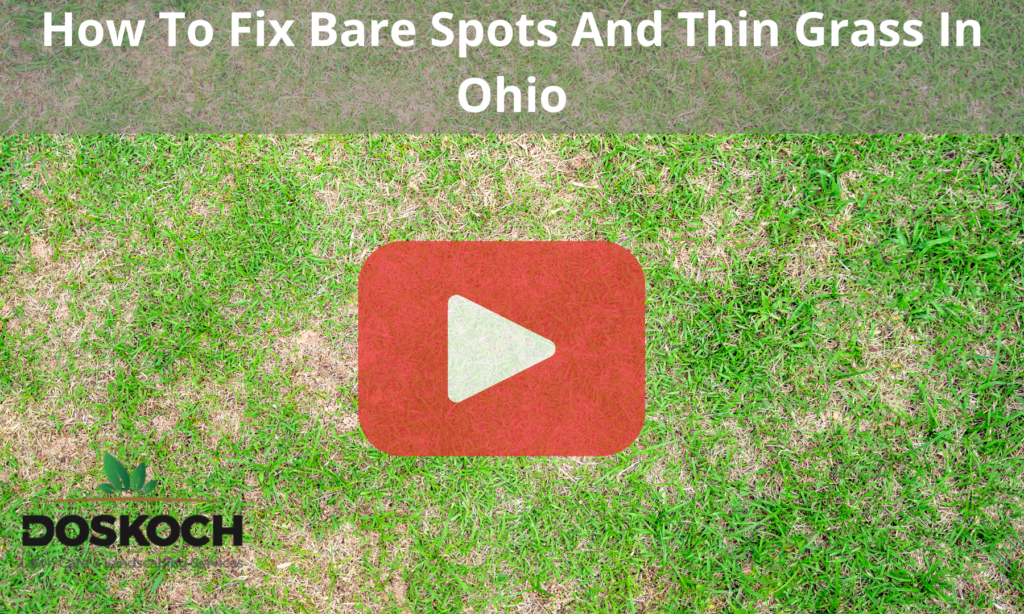 Top view of grass with bare spots. Red play buttom overlay and words: How to Fix Bare Spots and Thin Grass in Ohio.