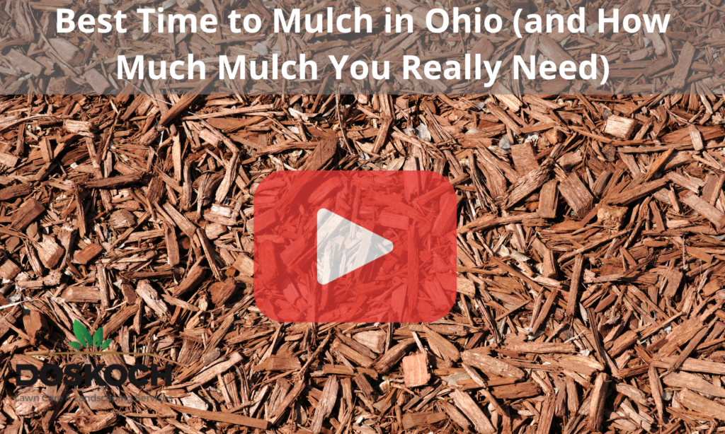 Close-up of mulch with red play button overlay and Doskoch logo.