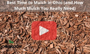 Close-up of mulch with red play button overlay and Doskoch logo.