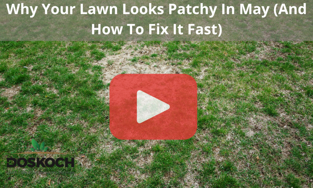 Close up of patchy lawn with red play button overlay and Doskoch logo.