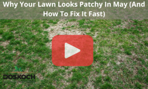 Close up of patchy lawn with red play button overlay and Doskoch logo.