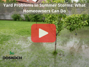 Flooded yard. Red play buttom overlay and Doskoch logo.