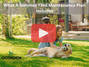 Woman playing with dog on yard during summer day. Red paly buttom overlay and Doskoch logo.