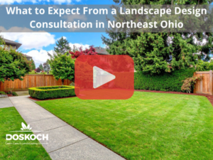 Beautiful landscaping.