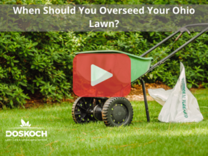 Tools to seed lawn. Red play buttom overlay and Doskoch logo.