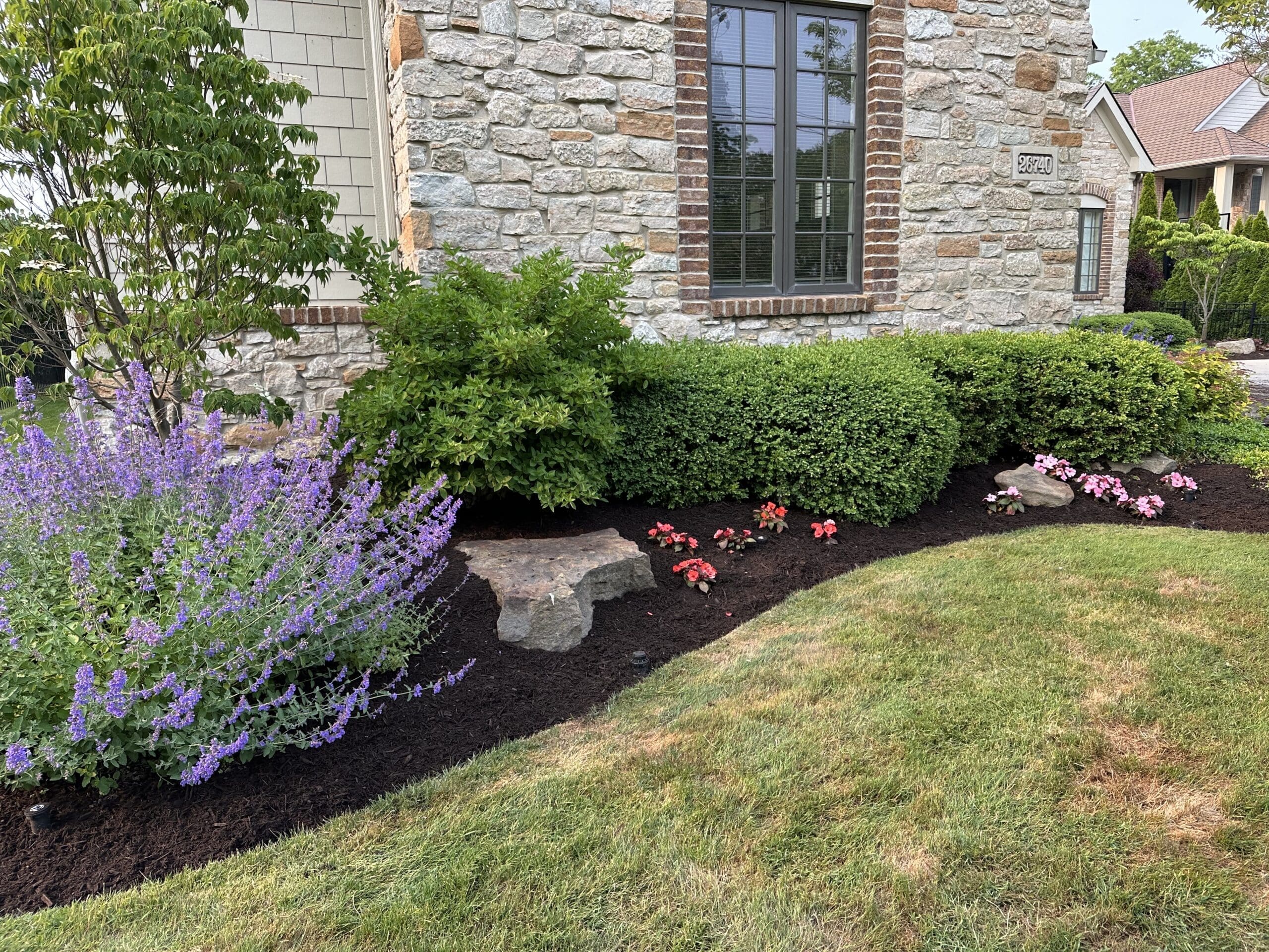A landscaped garden bed in front of a stone house featuring vibrant purple flowers, neatly trimmed green shrubs, and pink and red flowering plants. The bed is accented with natural stone decorations and bordered by a well-maintained lawn.