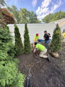 Doskoch Lawn Care & Landscaping Services crew members planting shrubs in a yard