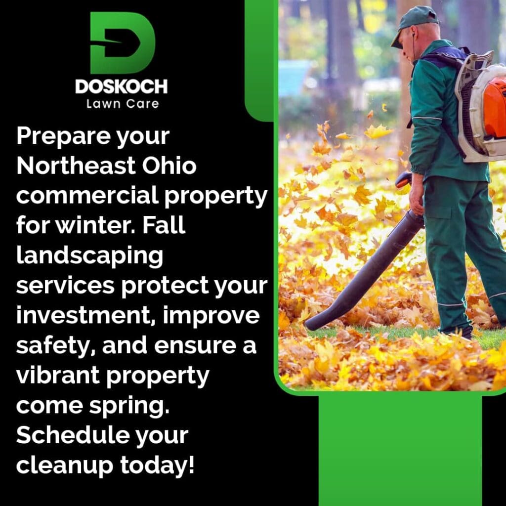 An advertisement for Doskoch Lawn Care showing a worker using a leaf blower to clear a thick layer of yellow and orange autumn leaves from a lawn. The text promotes fall landscaping services in Northeast Ohio to prepare commercial properties for winter.