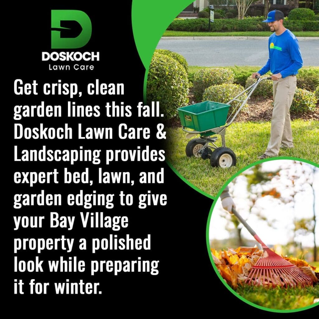 A man using a seed spreader on a lawn, and a close-up inset of a rake in a pile of leaves. Text promotes Doskoch Lawn Care & Landscaping for crisp, clean garden lines and professional edging services in Bay Village to prepare properties for winter. The Doskoch Lawn Care logo is prominent.