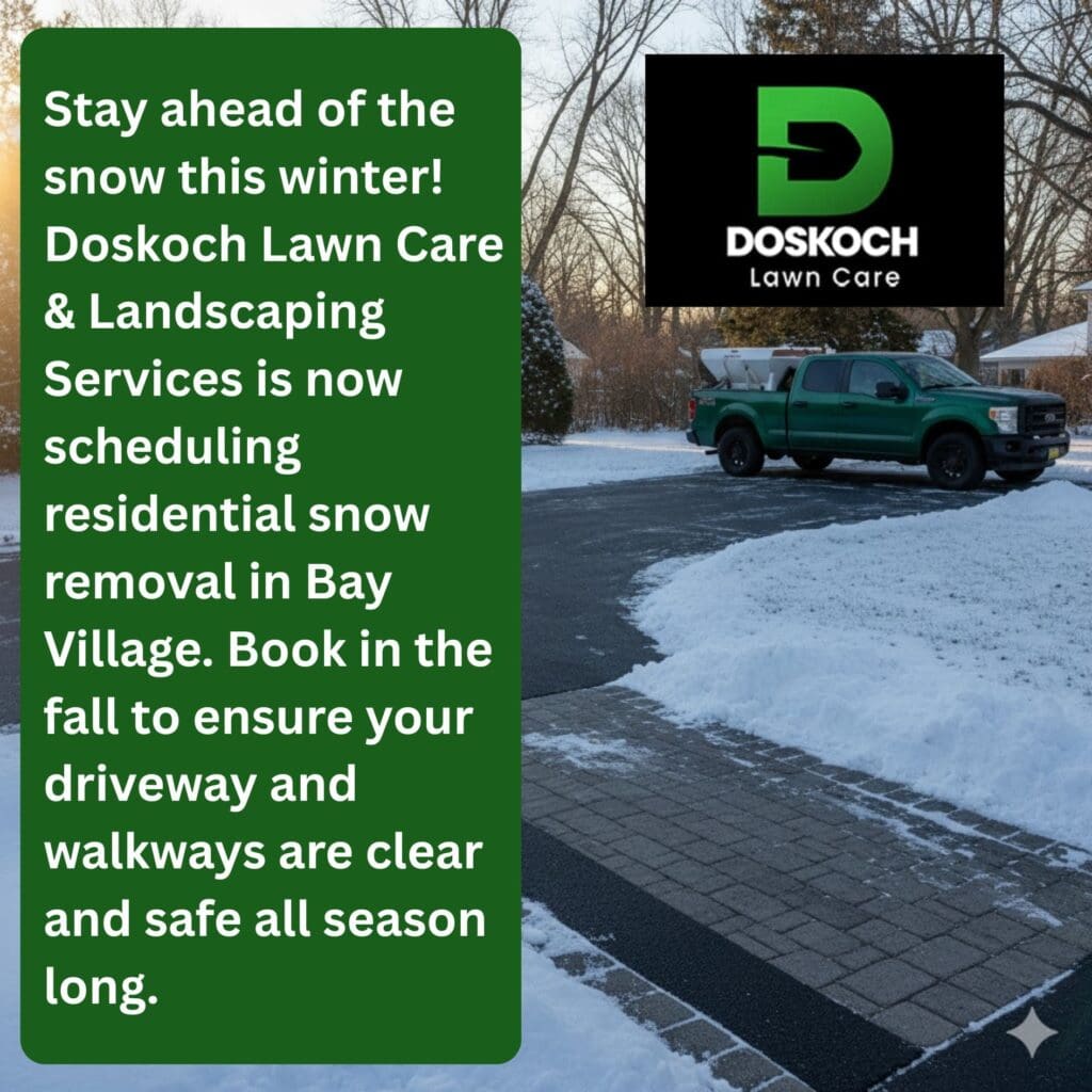 A green pickup truck with a snow plow on a partially cleared snowy driveway.