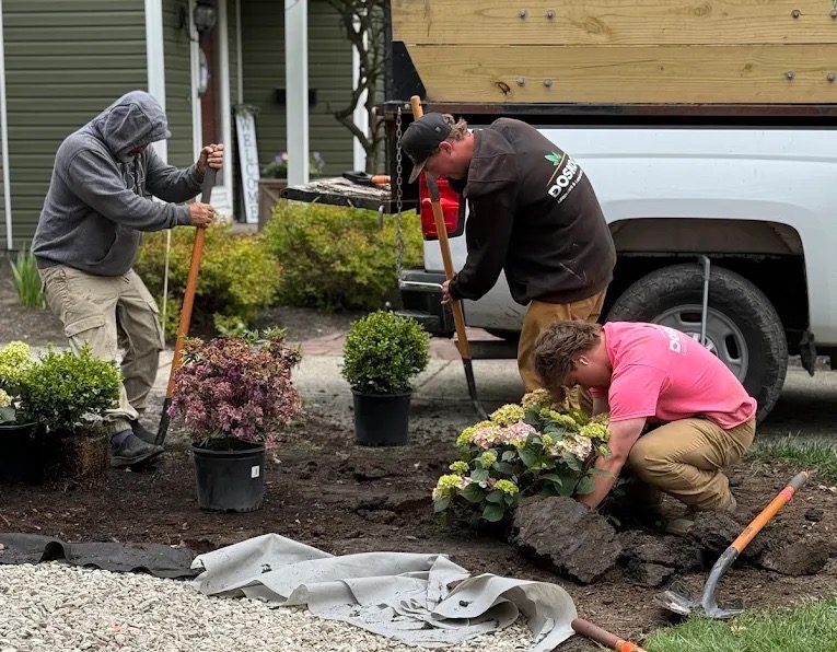 Landscaping crew planting shrubs and flowers in a residential front yard while preparing soil and installing new landscape beds.