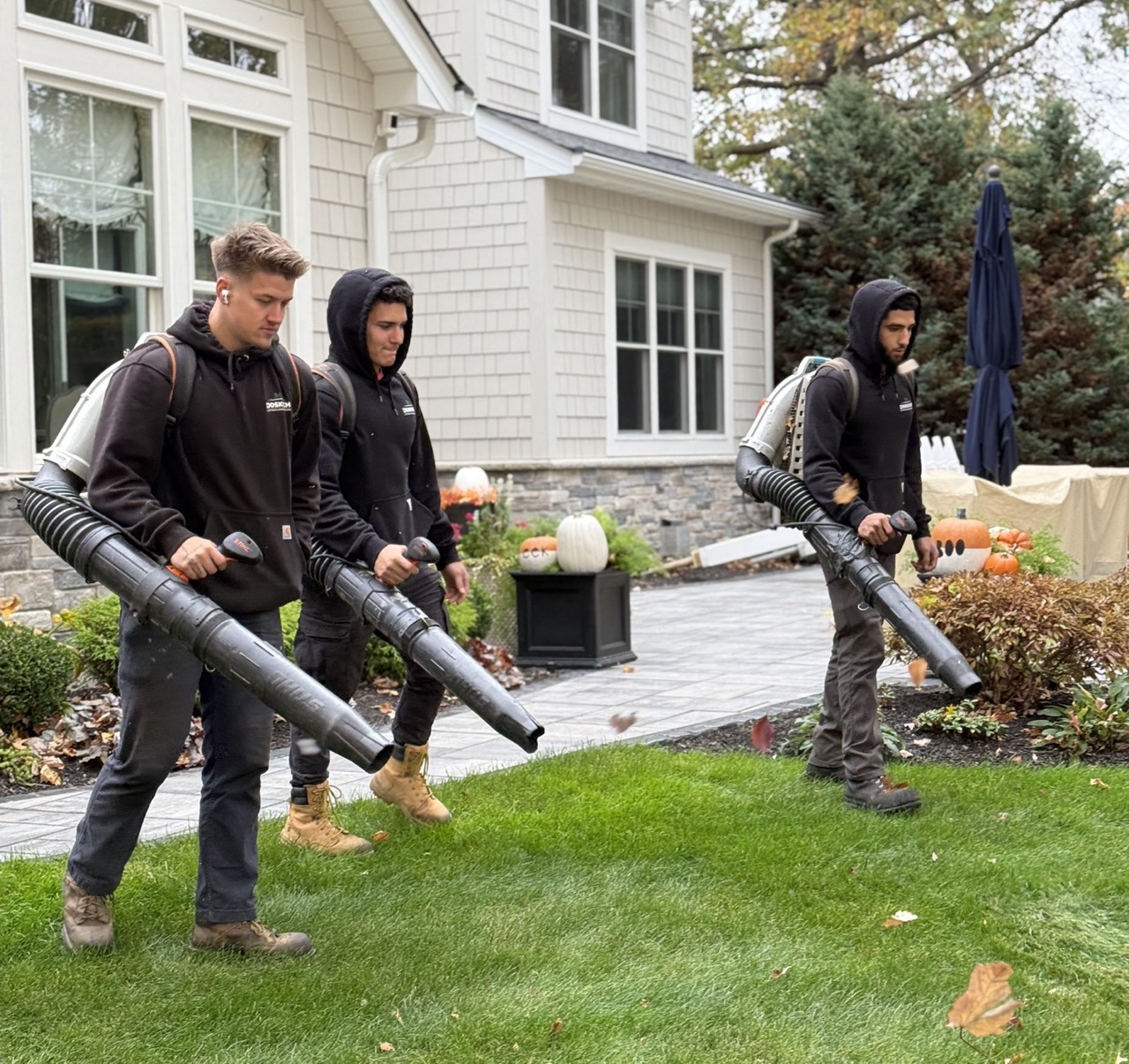 Landscaping crew using backpack leaf blowers to clear fallen leaves from a residential lawn during seasonal yard cleanup.