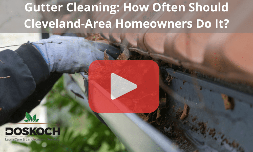 Person cleaning gutters with gloves. Red play buttom overlay with words: Gutter Cleaning: How Often Should Cleveland-Area Homeowners Do It?