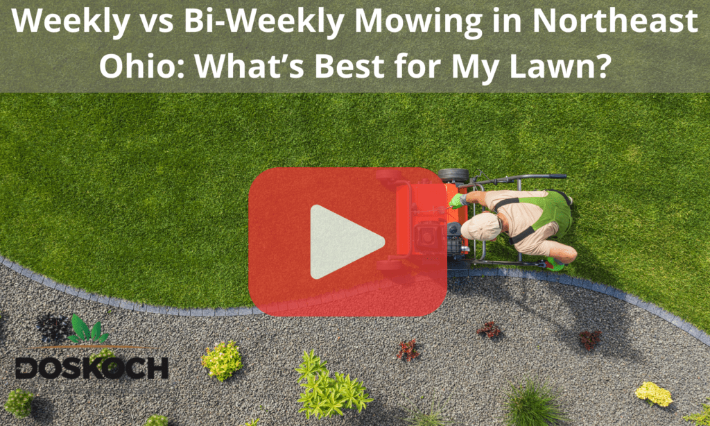 Top view of man mowing with red play buttom overlay with words: Weekly vs Bi-Weekly Mowing in Northeast Ohio: What’s Best for My Lawn?