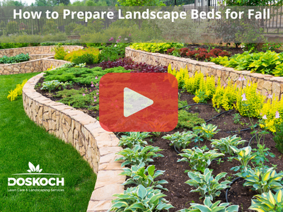 Landscaping beds with variety of plants. Red play buttom overlay and Doskoch logo.