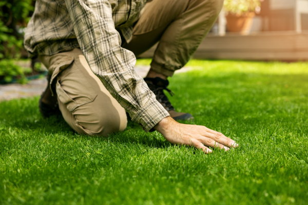 Man leaning and touching grass.