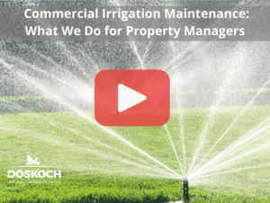 Commercial Sprinkler. Red buttom overlay. Doskocj logo.