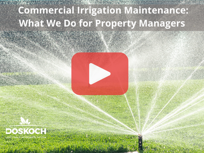 Commercial Sprinkler. Red buttom overlay. Doskocj logo.