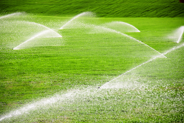 Commercial irrigation system.