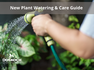 Person watering plants with a hose-