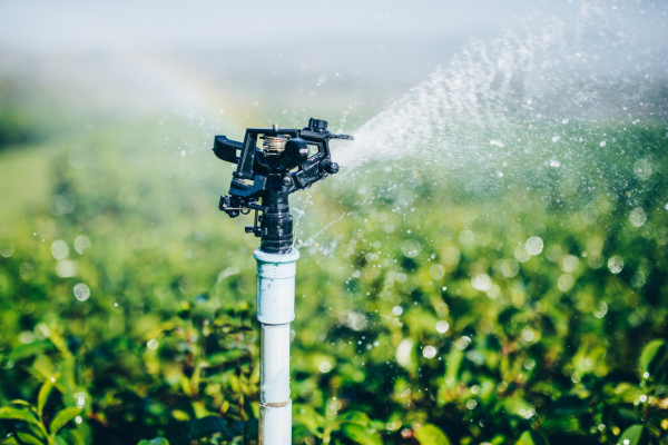 Close up of sprinkler.