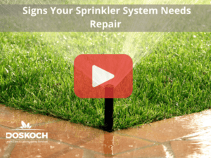 Close up of sprinkler. Red play buttom overlay and Doskoch logo.