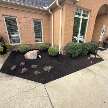 Commercial building Mulching Commercial building Mulching