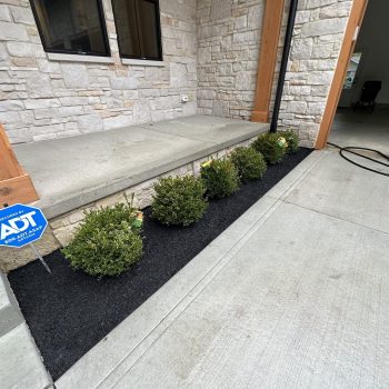Stone Entryway with Mulched Shrub Beds A modern stone front entryway with neatly mulched garden beds featuring small, evenly spaced green shrubs. The clean concrete walkway and steps lead to black-framed windows and a secured ADT sign displayed near the garden.