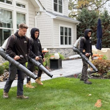 Team Leaf Blowing Landscaping crew using backpack leaf blowers to clear fallen leaves from a residential lawn during seasonal yard cleanup.